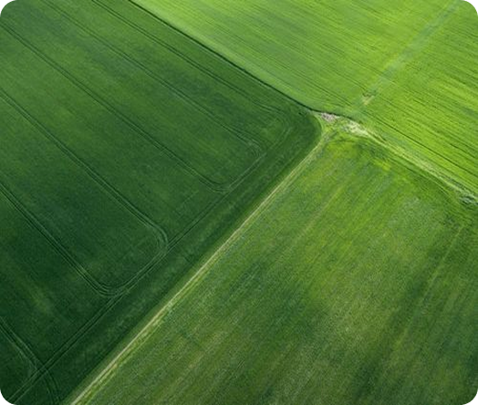 Farmland in Tamil Nadu with irrigation and green crops