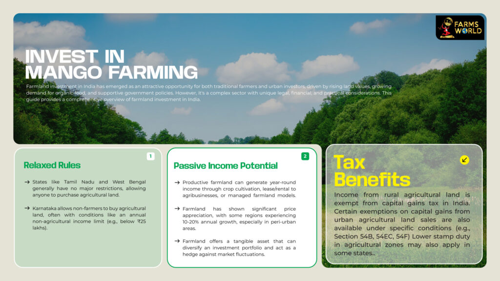 Mango farming investment on farmland in India with profitable long-term returns