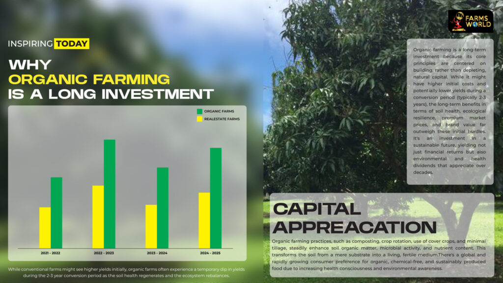 “Organic mango farming in Tamil Nadu with eco-friendly practices”