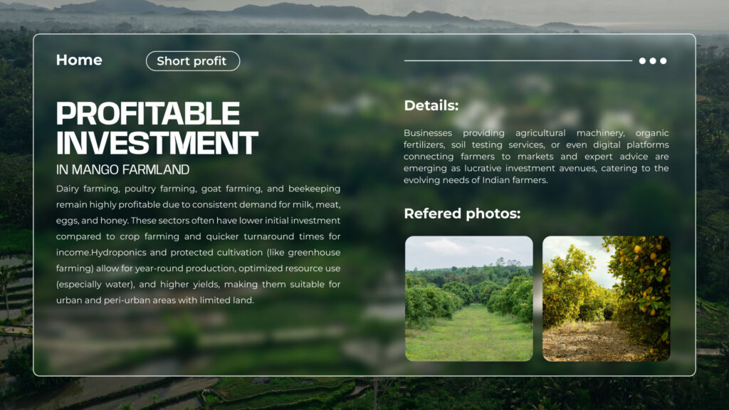 Mango orchard in India as a profitable agricultural investment