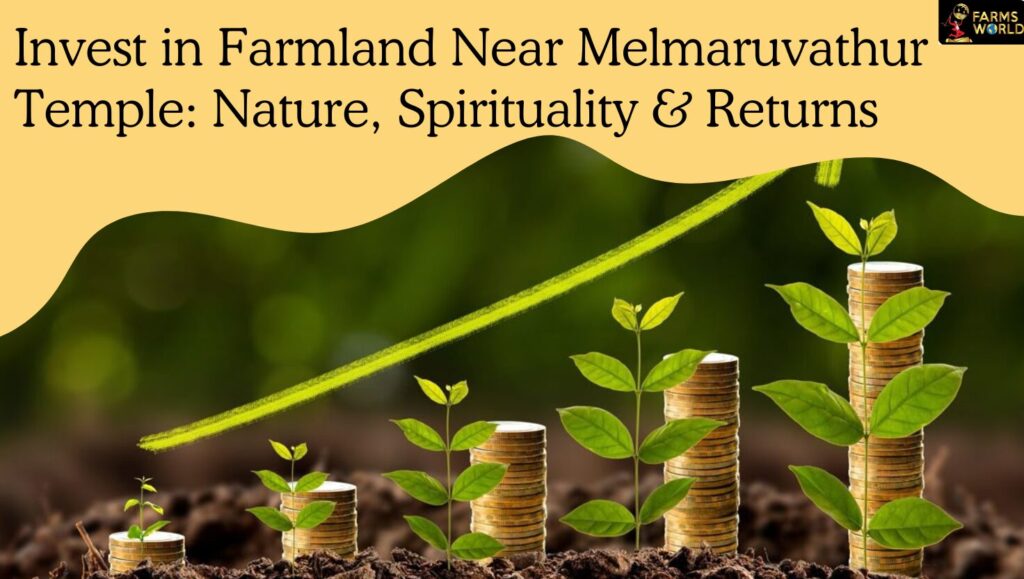 Melmaruvathur mango farmland near temple Chennai—invest near the temple.