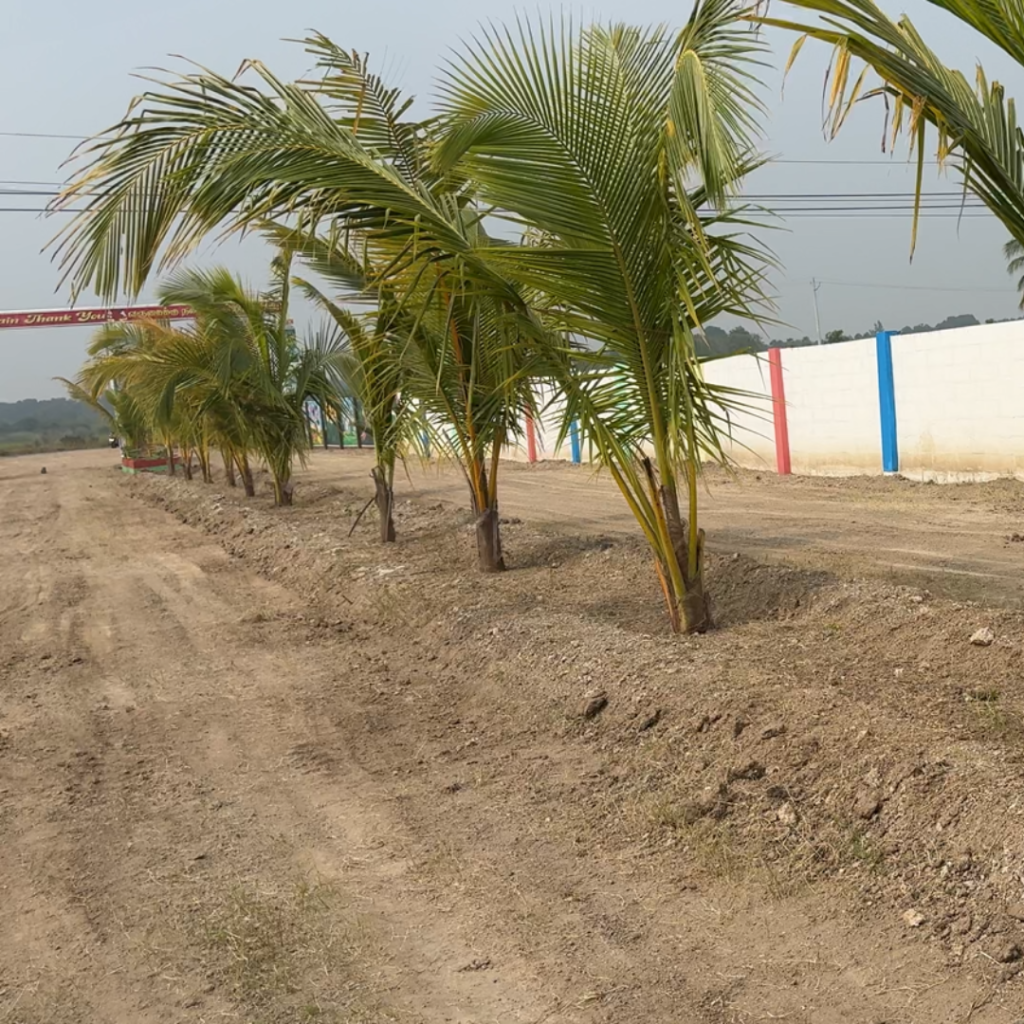 farmland in Chengalpattu